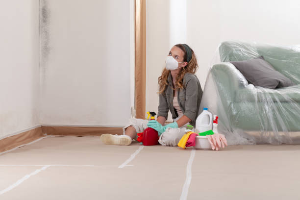 Reliable Commercial Mold Remediation contractor in Cumberland, KY by WQB Mold Removal